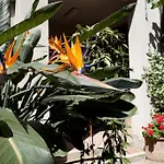 Hotel Stella 3*