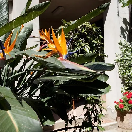 Hotell Stella 3*