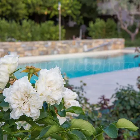 Stella Hotell Casciana Terme